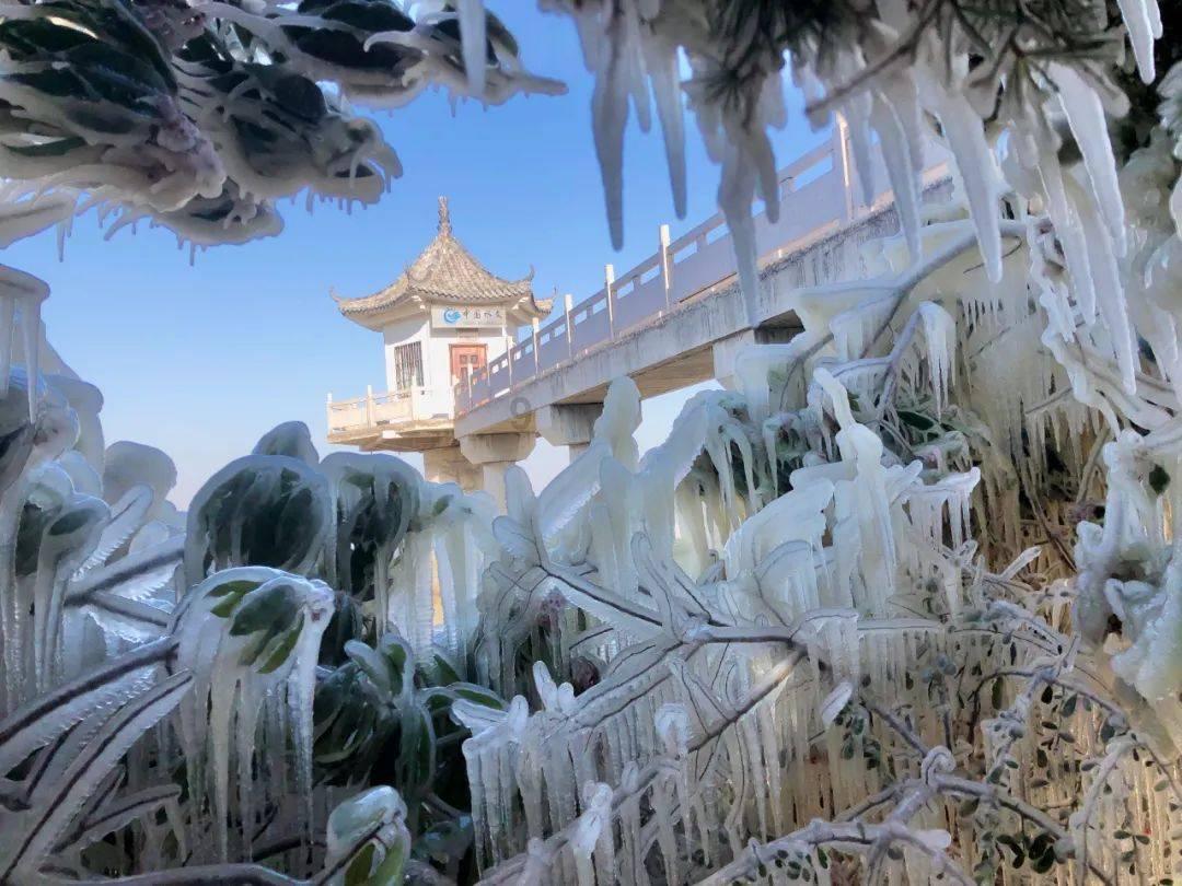 天才少年魏永康4岁读完初中，从神童沦为普通人，母亲都做了什么