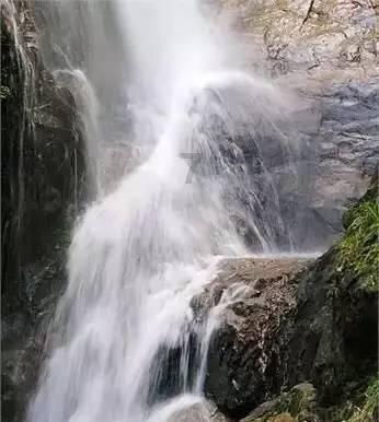 寻找萌小老虎